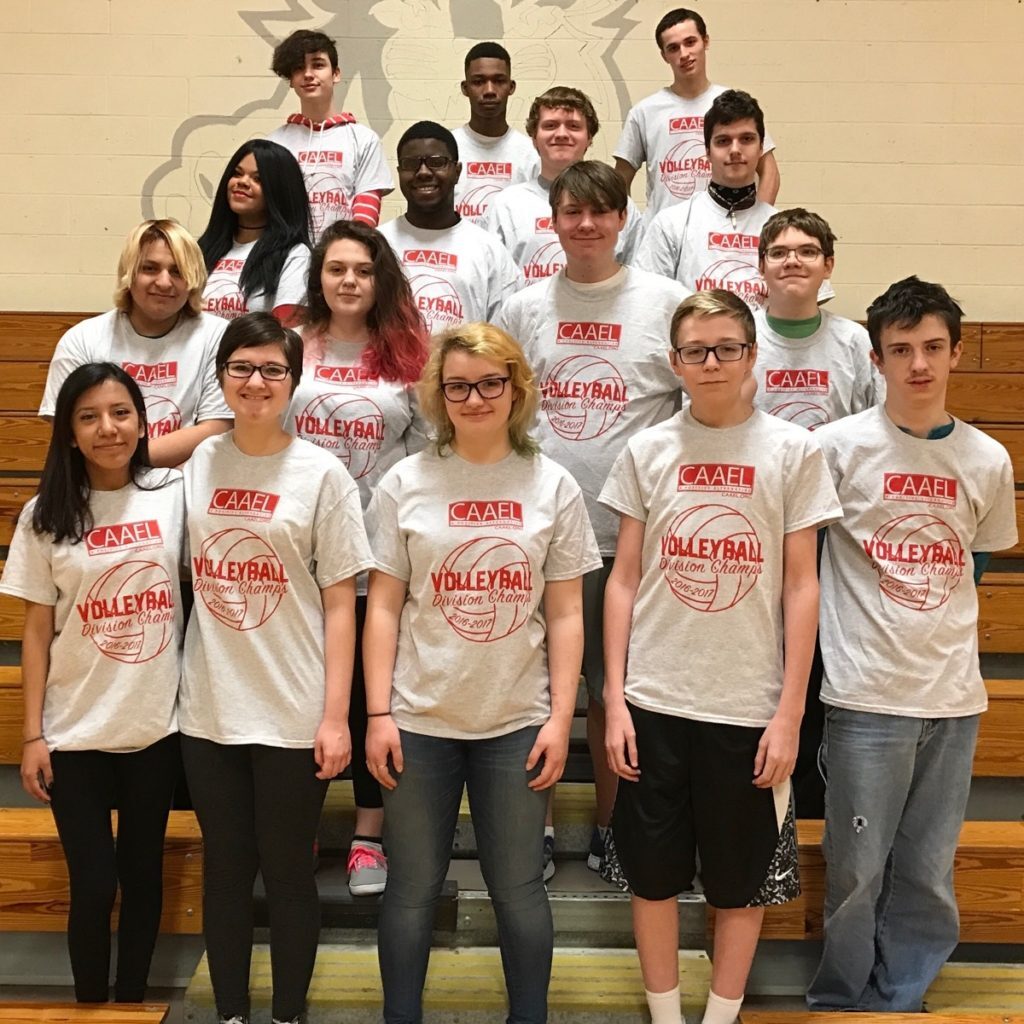 Group of co-ed adolescent volleyball players standing on bleachers